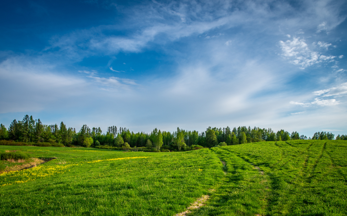 What a Virtual Tour Can (and Can't) Tell You About Rural Property in Southern Iowa